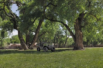 Polaris Ranger 500 EFI 2013 - Bild 4