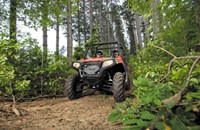 Polaris RZR 800 2013 - Bild 3