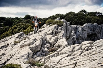 KTM 250 EXC-F 2014 - Bild 7 KTM 250 EXC-F 2014 - Bild 7