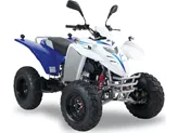 Adly Interceptor 300 2014 Adly Interceptor 300 2014