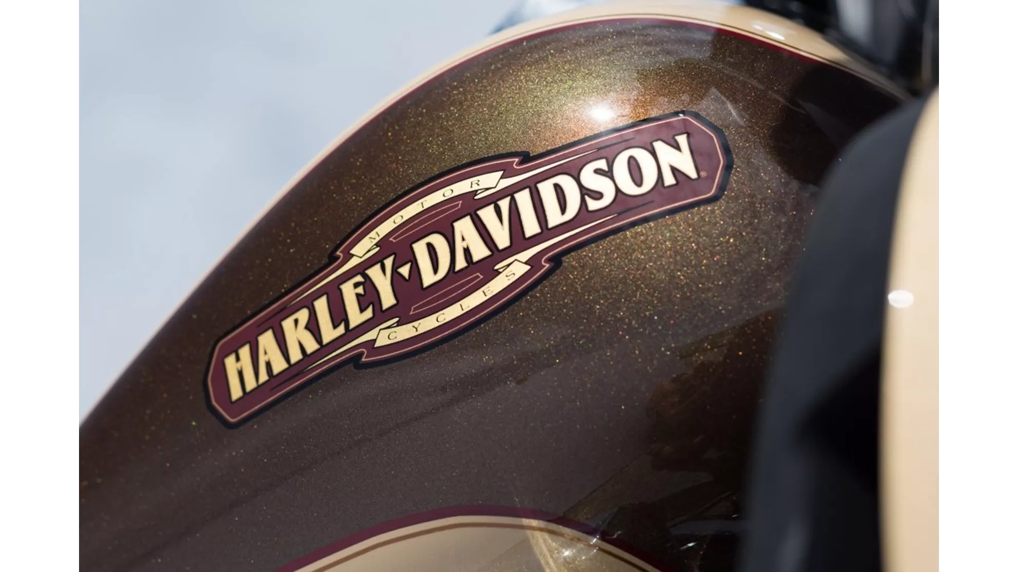Harley-Davidson Electra Glide Classic FLHTC - Bild 2