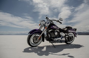 Harley-Davidson Softail Deluxe FLSTN 2014 - Bild 2