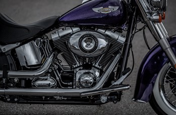 Harley-Davidson Softail Deluxe FLSTN 2014 - Bild 3