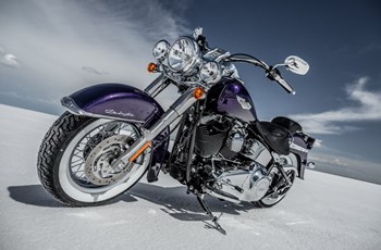 Harley-Davidson Softail Deluxe FLSTN 2014 - Bild 5