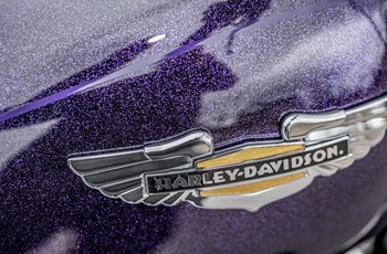 Harley-Davidson Softail Deluxe FLSTN 2014 - Bild 8