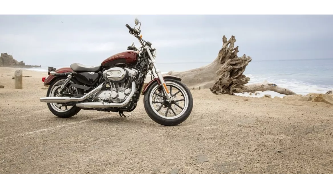 Harley-Davidson Sportster XL 883 L SuperLow 2014