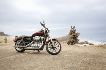 Harley-Davidson Sportster XL 883 L SuperLow 2014 - Bild 2 Harley-Davidson Sportster XL 883 L SuperLow 2014 - Bild 2