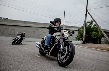 Harley-Davidson Night Rod Special VRSCDX 2014 - Bild 4