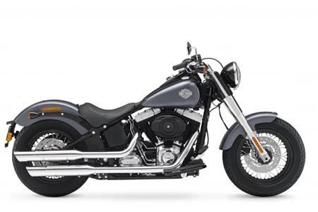 Harley-Davidson Softail Slim FLS 2014 Harley-Davidson Softail Slim FLS 2014