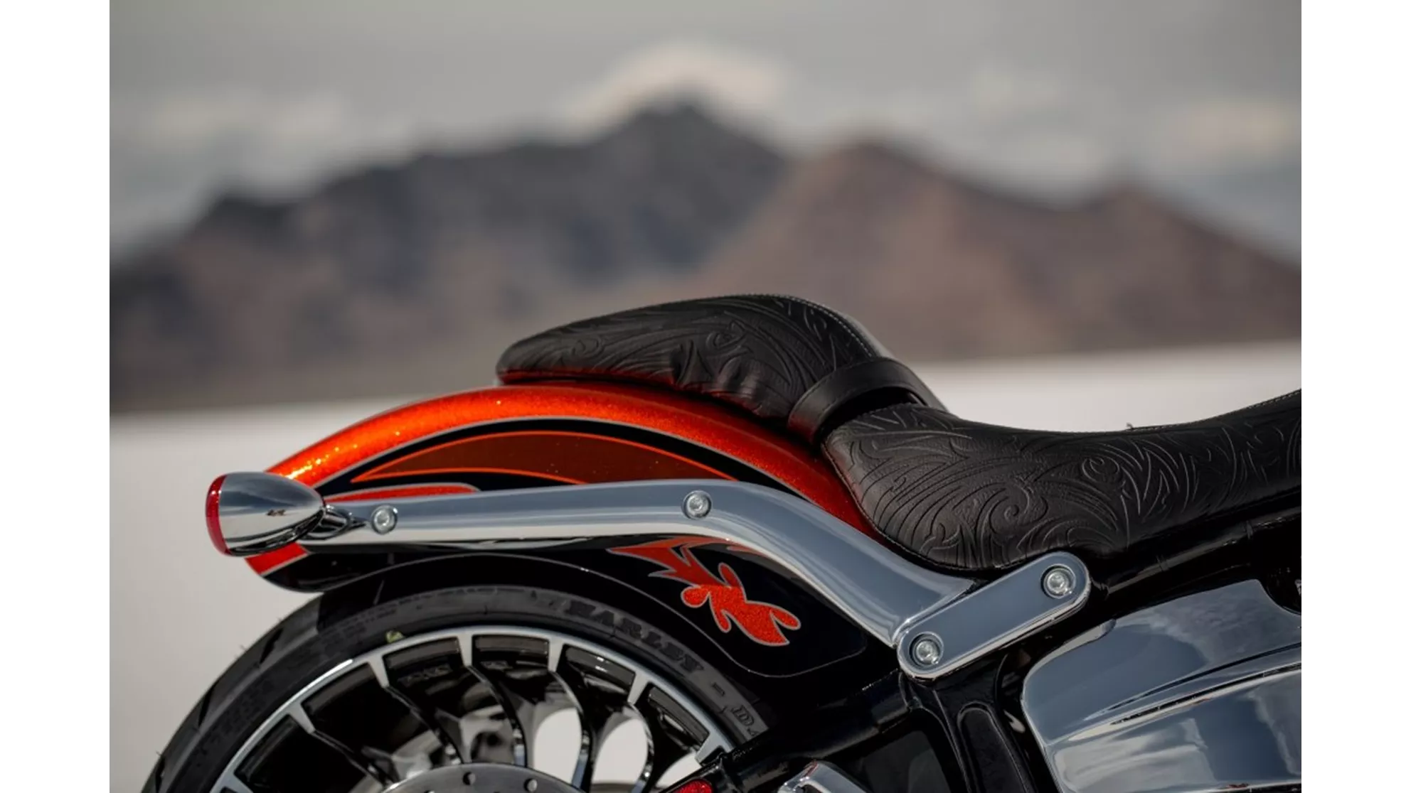 Harley-Davidson CVO Breakout FXSBSE - Obrázek 9