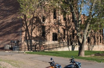 Harley-Davidson Sportster XL 1200CA 2014 - Bild 3