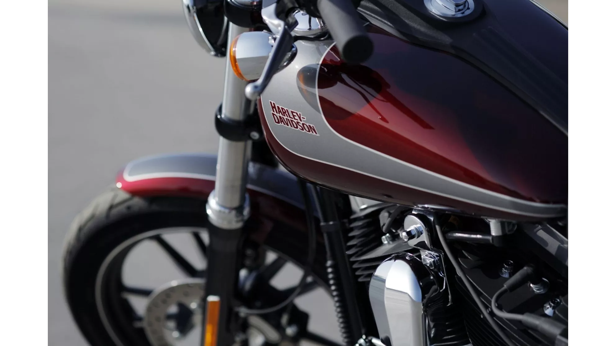 Harley-Davidson Dyna Street Bob Special - Image 5 Harley-Davidson Dyna Street Bob Special - Image 5