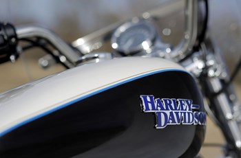 Harley-Davidson Sportster XL 1200T SuperLow 2014 - Bild 9 Harley-Davidson Sportster XL 1200T SuperLow 2014 - Bild 9