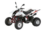 Triton Baja 250 2014 - Bild 1