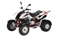 Triton Baja 400 EFI 2014 - Bild 1