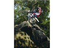 Honda Montesa COTA 4RT 2014 - Bild 3