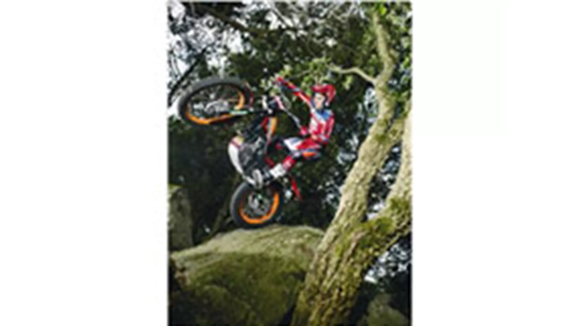 Honda Montesa COTA 4RT - Image 7 Honda Montesa COTA 4RT - Image 7