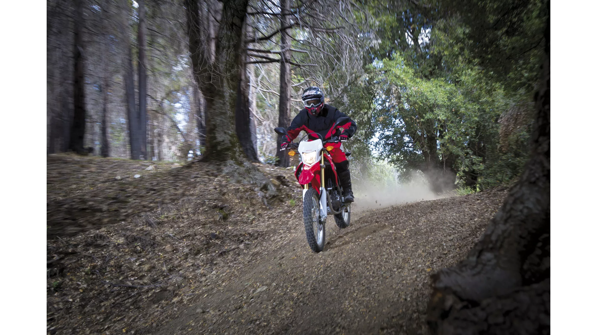 Honda CRF250L - Image 6 Honda CRF250L - Image 6