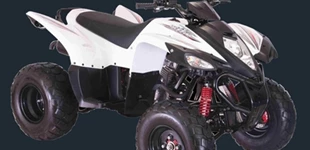 Honda Forza 350 2025 vs Luxxon 300S 2014 Honda Forza 350 2025 vs Luxxon 300S 2014