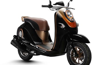 Tauris Piccadilly 125 2014 - Bild 6