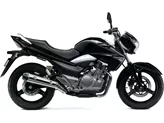 Suzuki GW250 Inazuma 2014 Suzuki GW250 Inazuma 2014