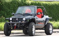 Quadix Buggy 800 2014 - Bild 2