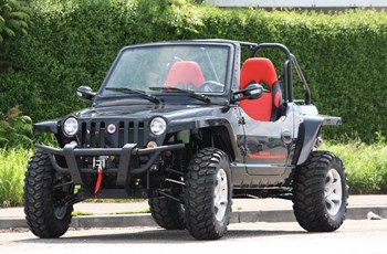 Quadix Buggy 800 2014 - Bild 2