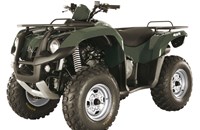 Sym Quad Raider 600 2014 - Bild 3 Sym Quad Raider 600 2014 - Bild 3