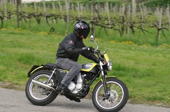 Borile B450 Scrambler 2014 - Bild 2