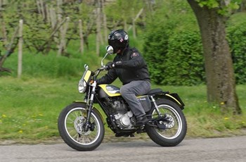 Borile B450 Scrambler 2014 - Bild 3