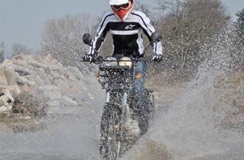 Borile Multiuso 2014 - Bild 2