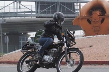 Borile Multiuso 2014 - Bild 9