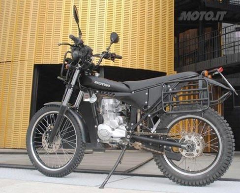 Borile Multiuso 2014