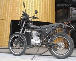 Borile Multiuso 2014