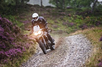 Triumph Tiger 800 XC 2014 - Bild 2 Triumph Tiger 800 XC 2014 - Bild 2