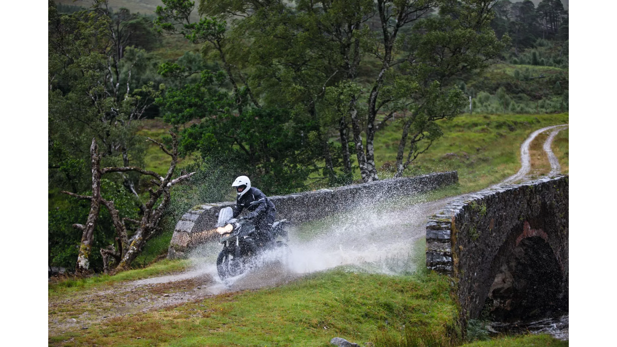 Triumph Tiger 800 XC - Image 15 Triumph Tiger 800 XC - Image 15