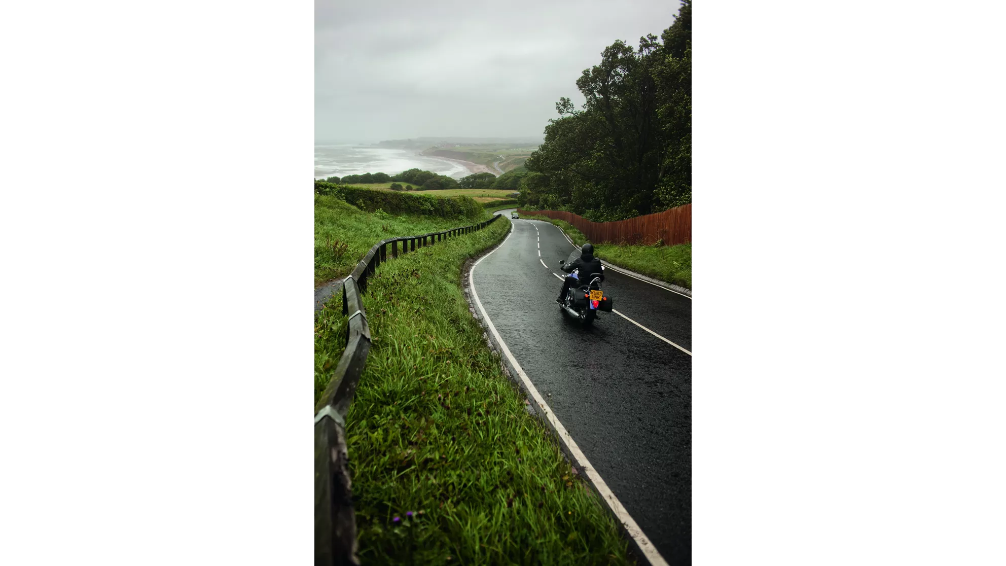 Triumph America LT - Image 7 Triumph America LT - Image 7