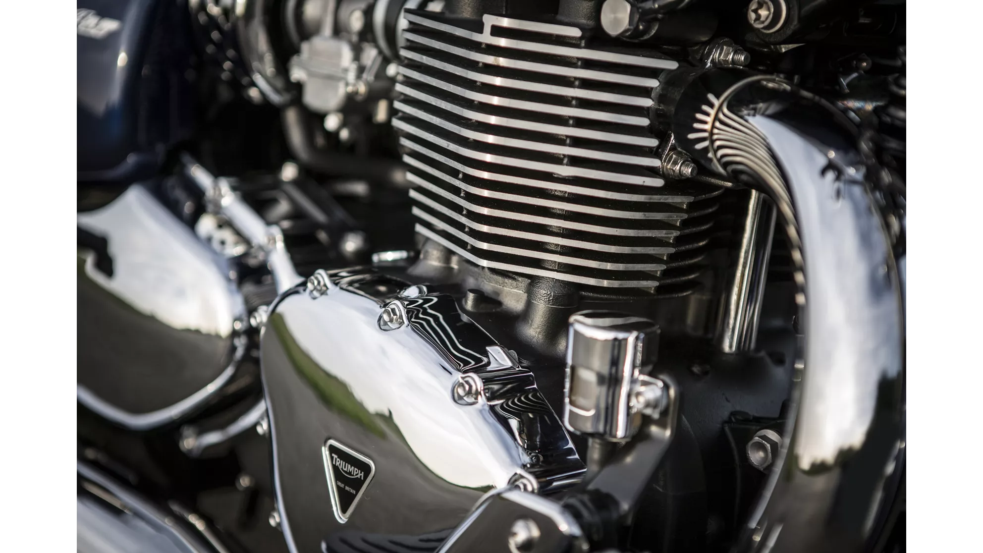 Triumph America LT - Image 10 Triumph America LT - Image 10