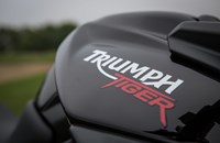 Triumph Tiger 800 XC Special 2014 - Bild 8