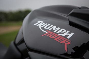 Triumph Tiger 800 XC Special 2014 - Bild 8