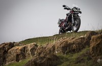 Triumph Tiger 800 XC Special 2014 - Bild 11