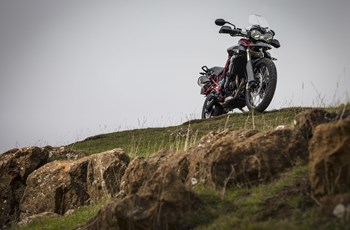 Triumph Tiger 800 XC Special 2014 - Bild 11
