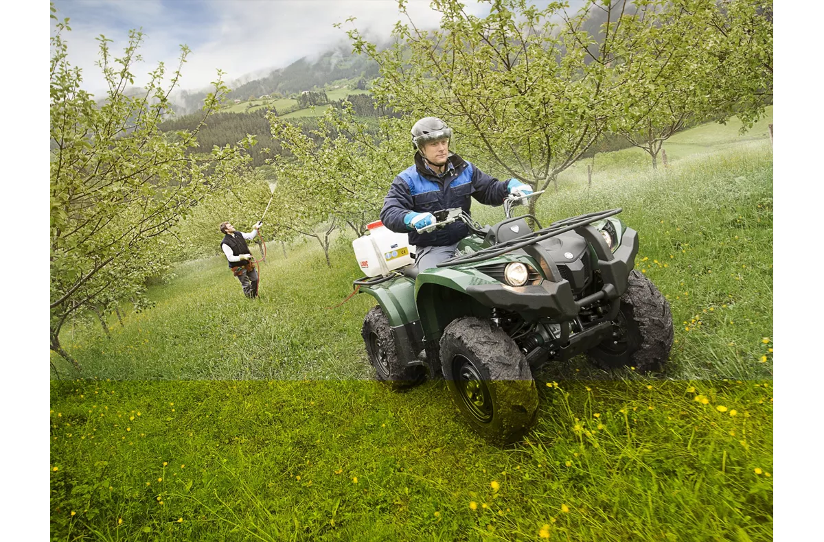 Yamaha Grizzly 450 Yamaha Grizzly 450