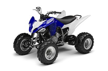 Yamaha YFM 250R 2014 - Bild 2
