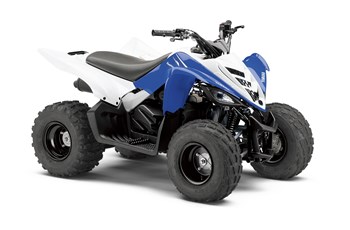 Yamaha YFM 90 2014 - Bild 2