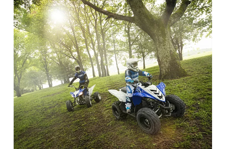 Yamaha YFM 90 2014 Yamaha YFM 90 2014