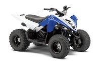 Yamaha YFM 90 2014 - Bild 1