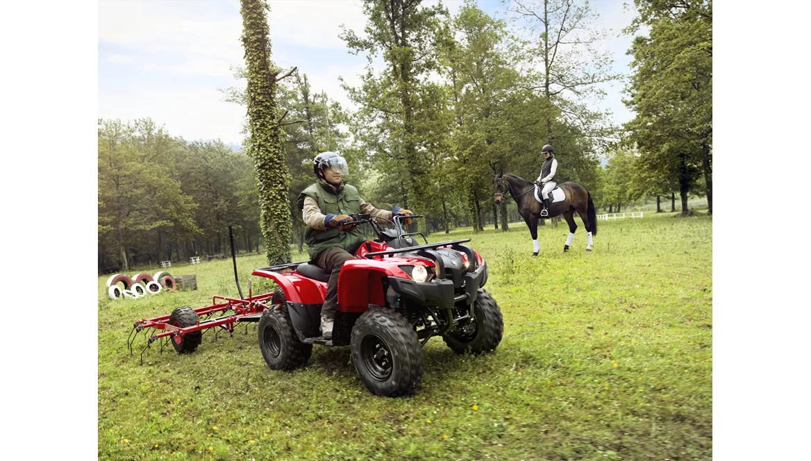 Yamaha Grizzly 300 2014 Yamaha Grizzly 300 2014