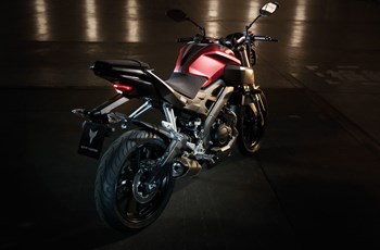 Yamaha MT-125 2014 - Bild 31 Yamaha MT-125 2014 - Bild 31