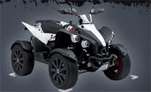 TGB Gunner 550 2014 - Bild 5